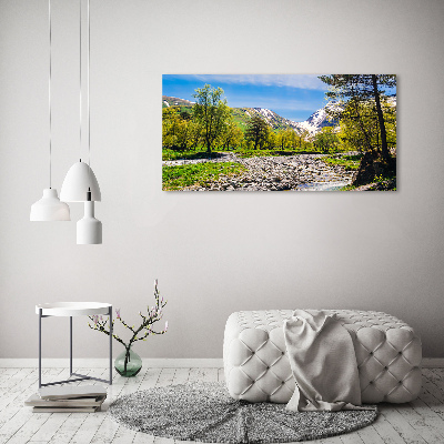 Wall art on glass River in the mountains