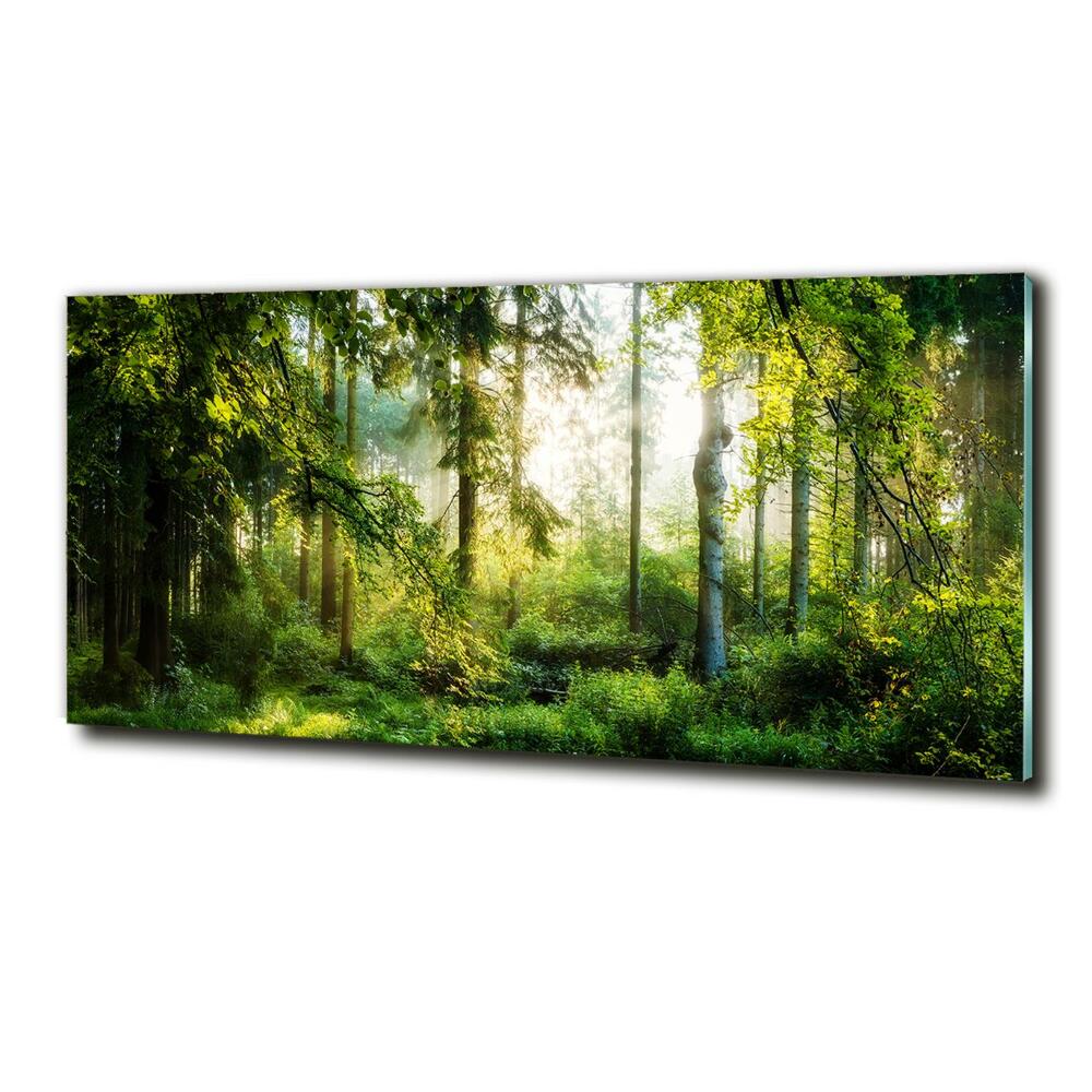 Glass art print Morning sun forest