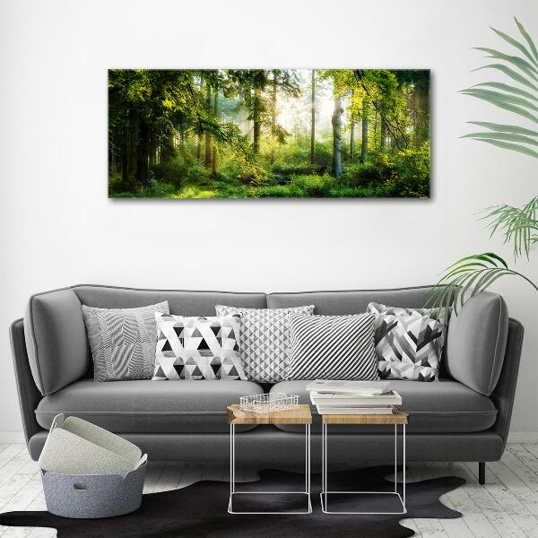 Glass art print Morning sun forest