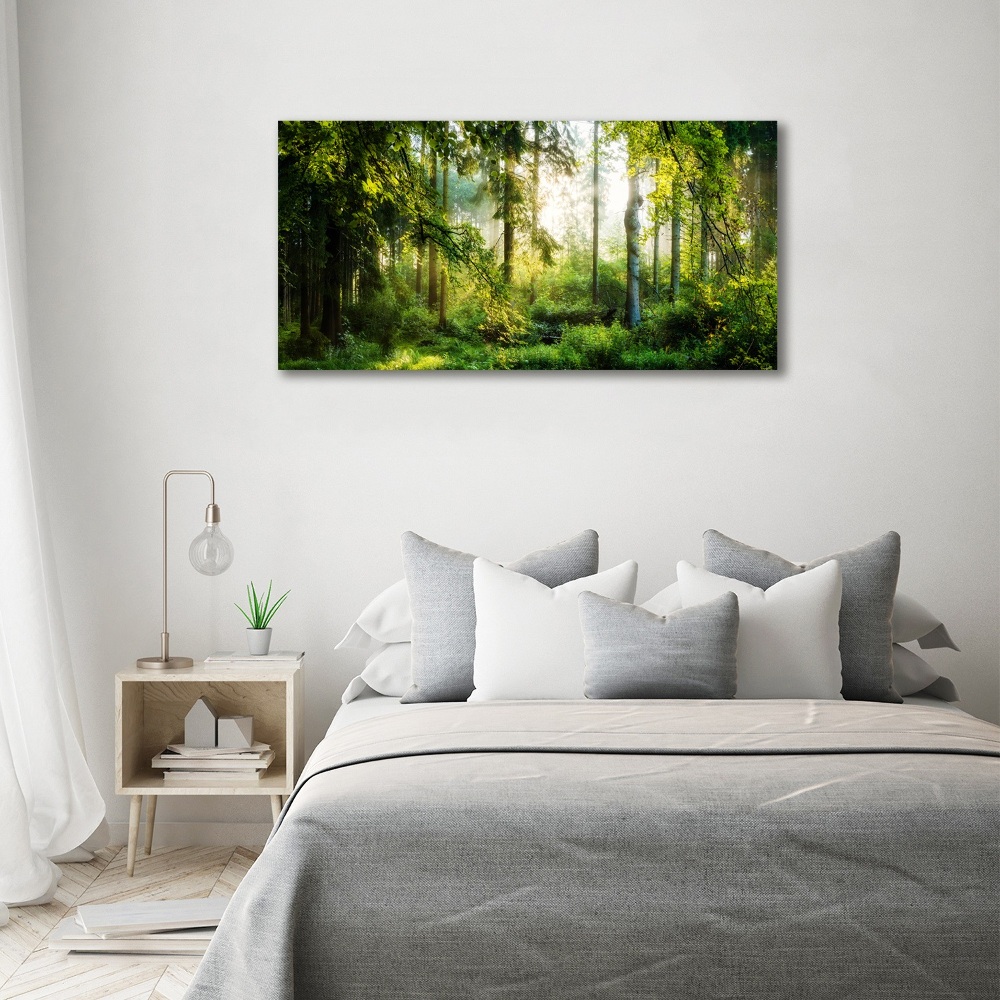 Glass art print Morning sun forest