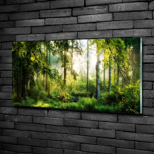 Glass art print Morning sun forest