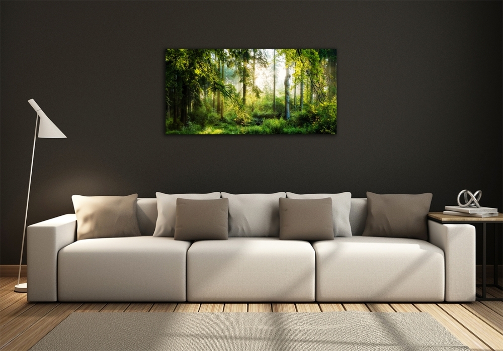 Glass art print Morning sun forest