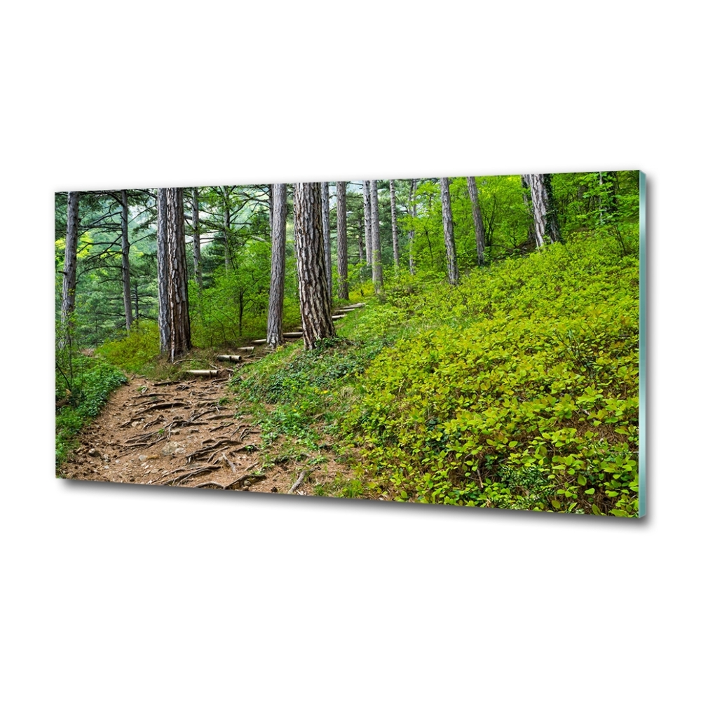 Wall art on glass Forest track