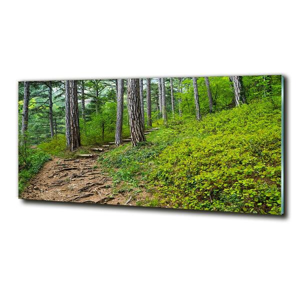 Wall art on glass Forest track