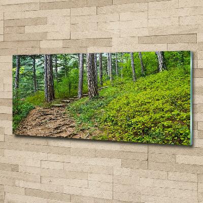 Wall art on glass Forest track