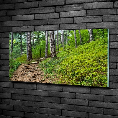 Wall art on glass Forest track