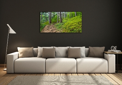 Wall art on glass Forest track