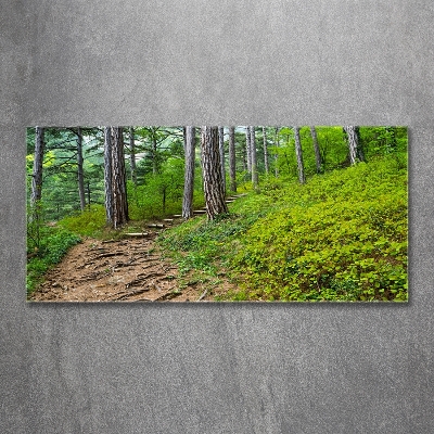 Wall art on glass Forest track