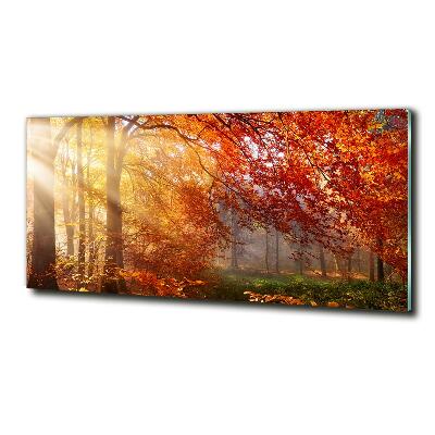 Glass wall art Autumn forest