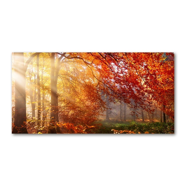 Glass wall art Autumn forest