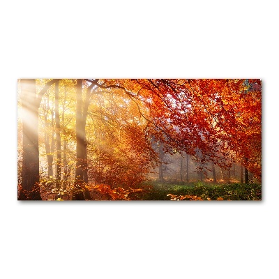 Glass wall art Autumn forest