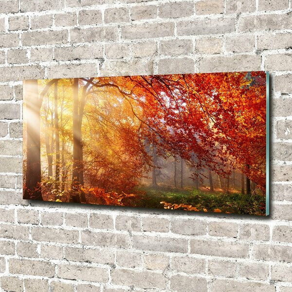 Glass wall art Autumn forest