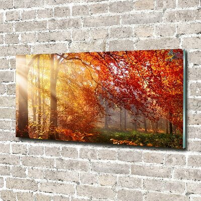 Glass wall art Autumn forest