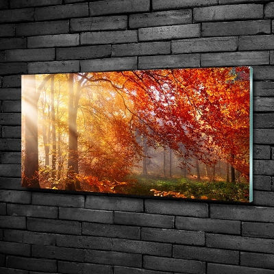 Glass wall art Autumn forest