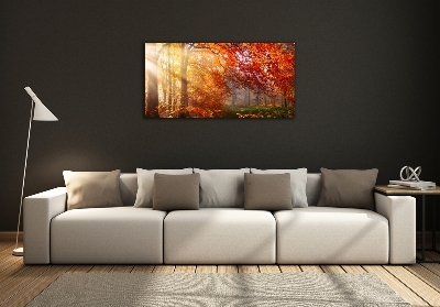 Glass wall art Autumn forest