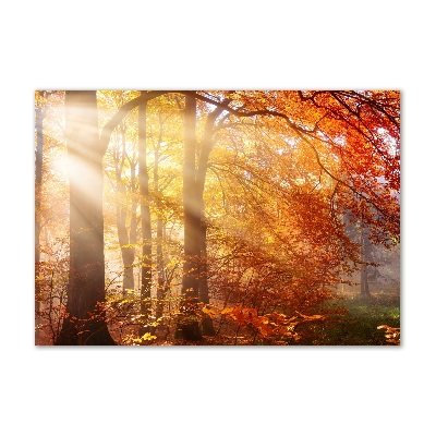 Glass wall art Autumn forest