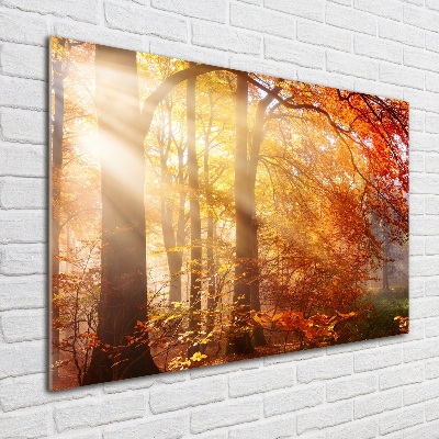 Glass wall art Autumn forest