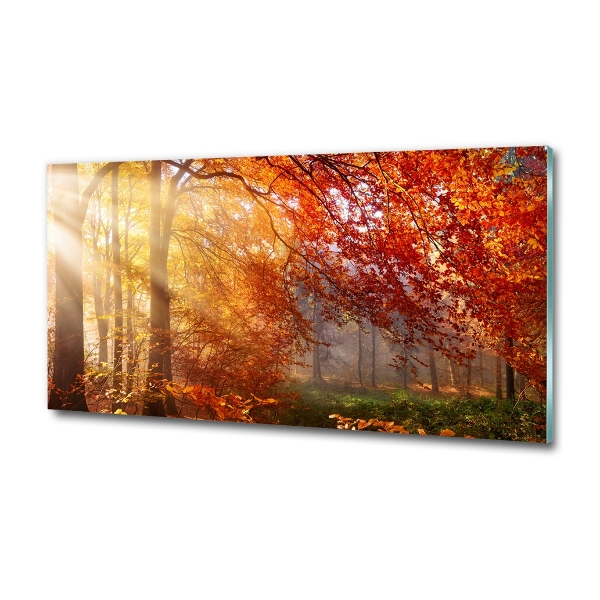 Glass wall art Autumn forest