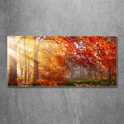 Glass wall art Autumn forest