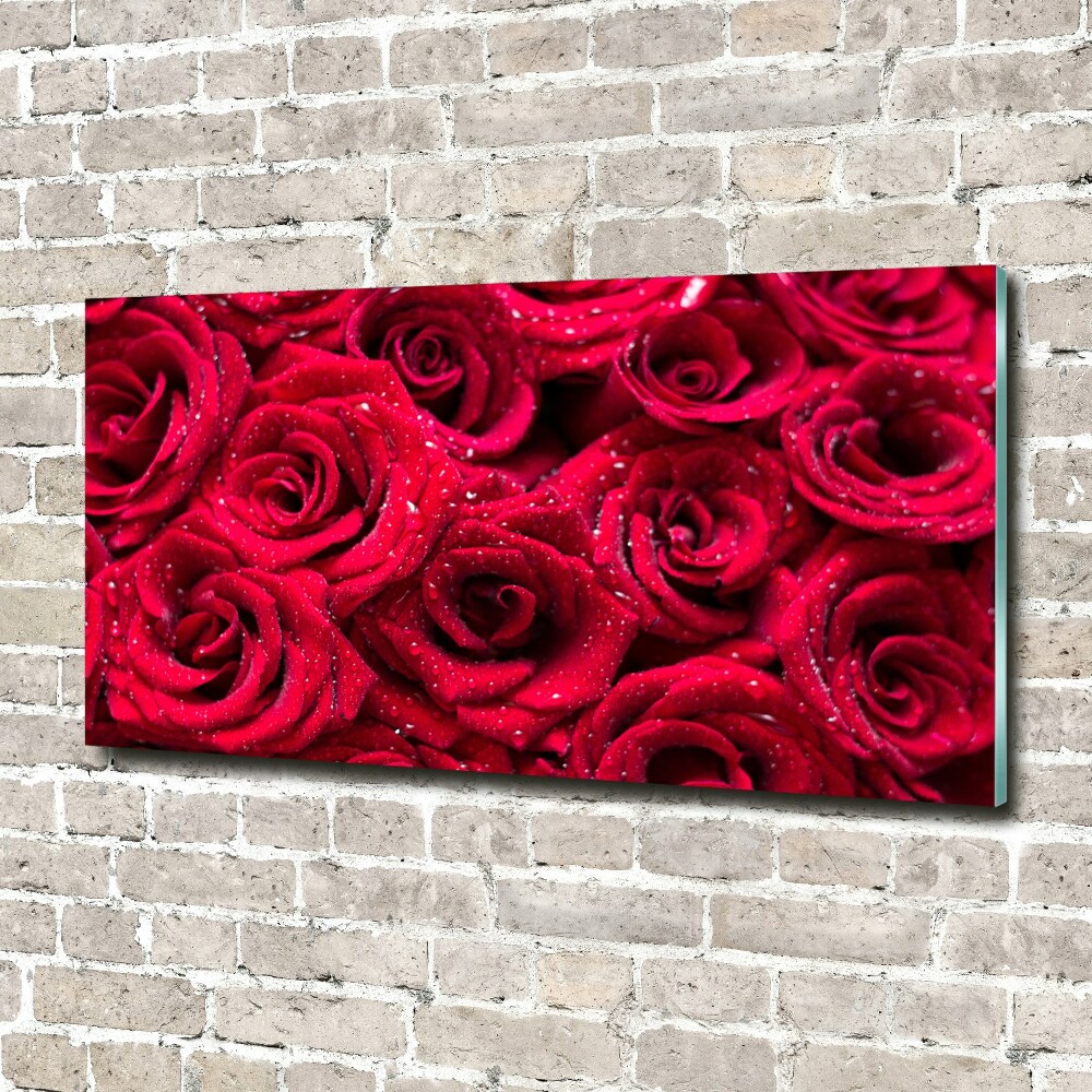 Wall art on glass Drops on roses