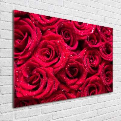 Wall art on glass Drops on roses