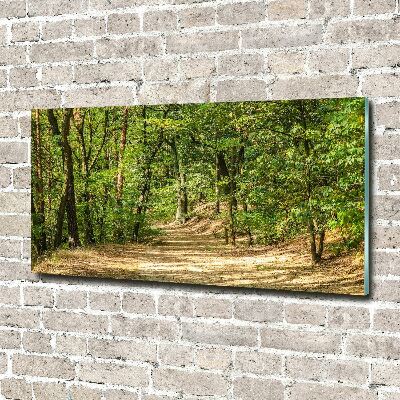 Wall art on glass Forest track