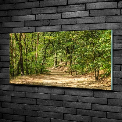 Wall art on glass Forest track