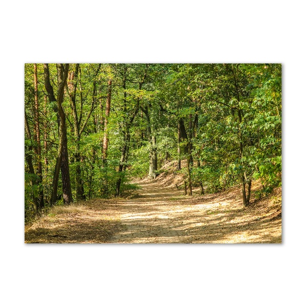 Wall art on glass Forest track