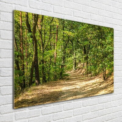 Wall art on glass Forest track