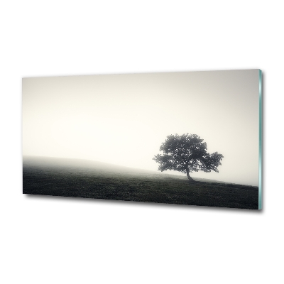 Wall art on glass Lone tree