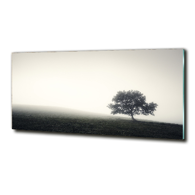 Wall art on glass Lone tree