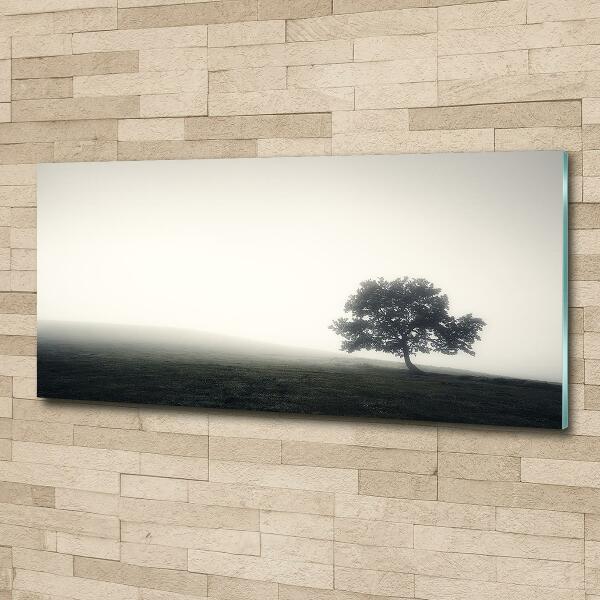 Wall art on glass Lone tree