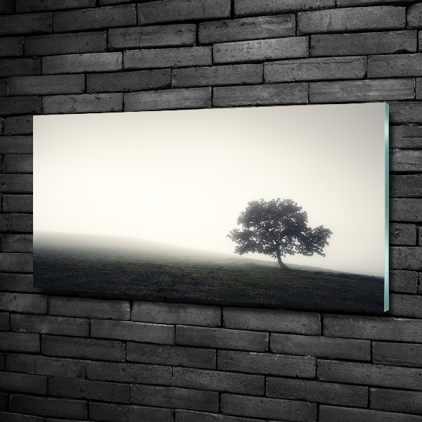 Wall art on glass Lone tree