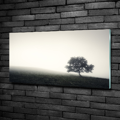 Wall art on glass Lone tree