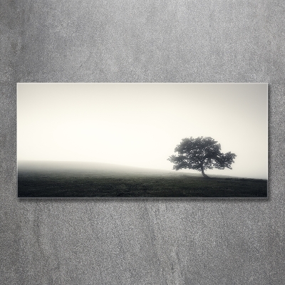 Wall art on glass Lone tree