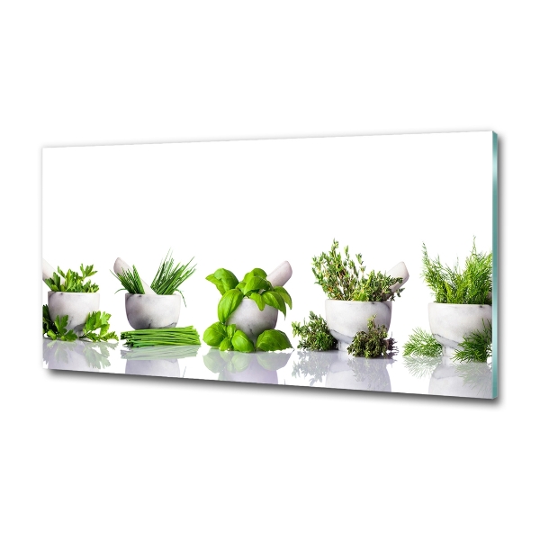 Glass art print Herbs