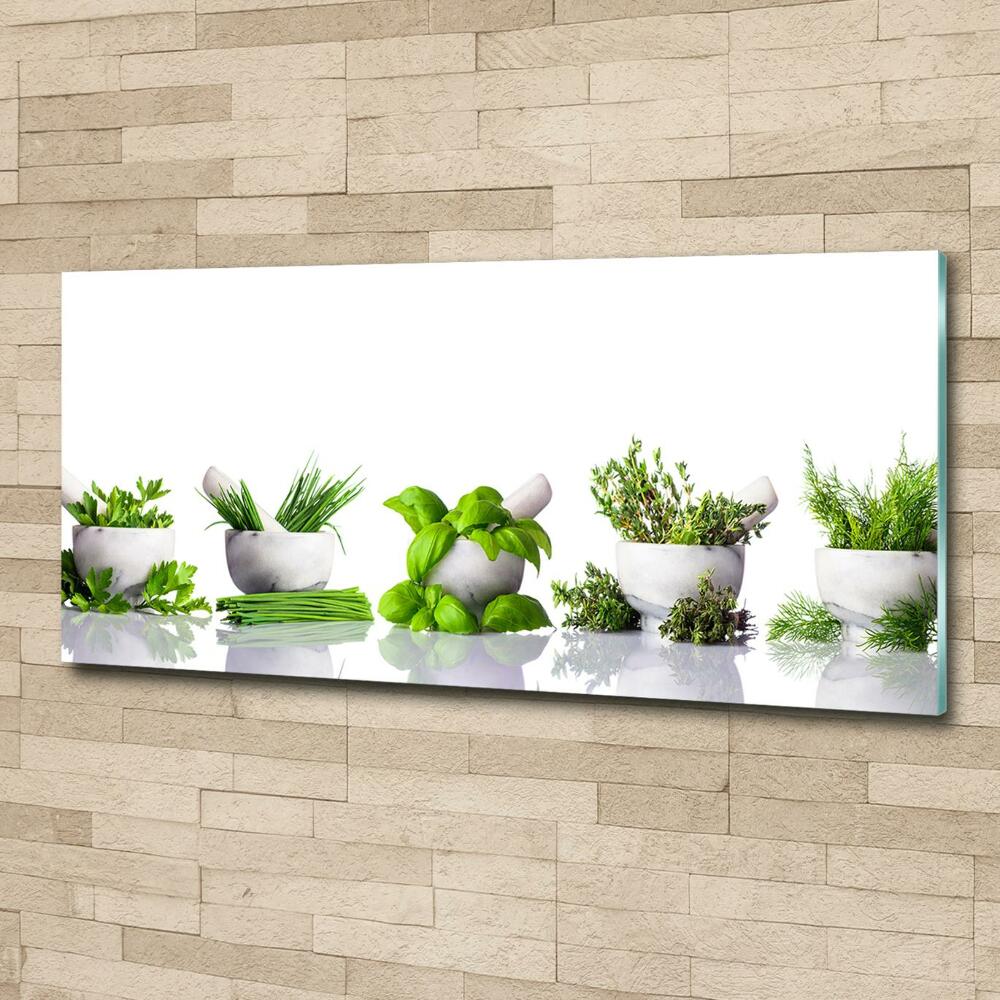 Glass art print Herbs