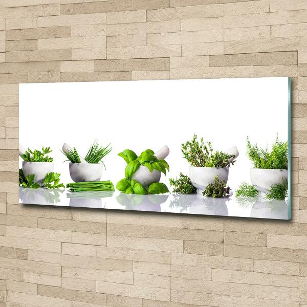 Glass art print Herbs