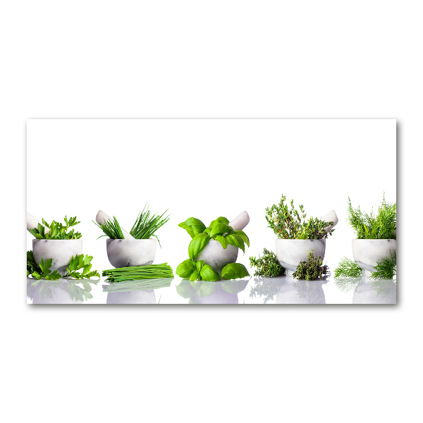 Glass art print Herbs