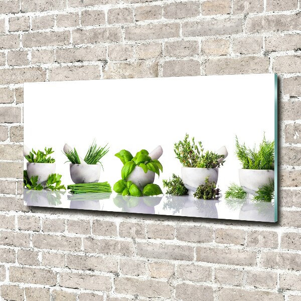 Glass art print Herbs