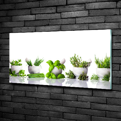 Glass art print Herbs