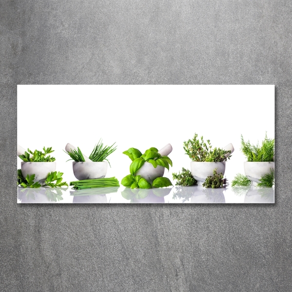 Glass art print Herbs