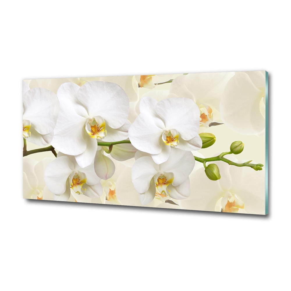 Wall art on glass Orchid