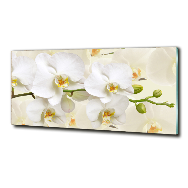 Wall art on glass Orchid