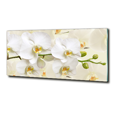 Wall art on glass Orchid