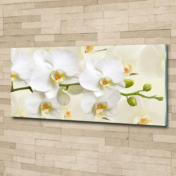 Wall art on glass Orchid