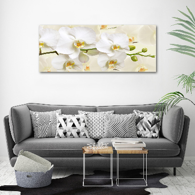 Wall art on glass Orchid