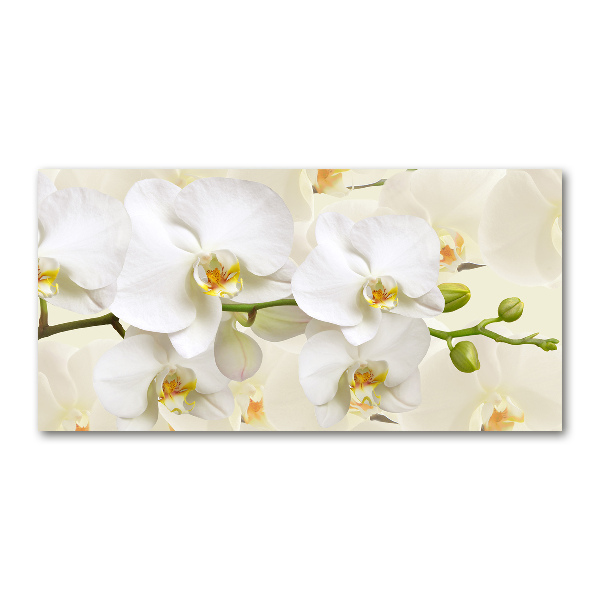 Wall art on glass Orchid