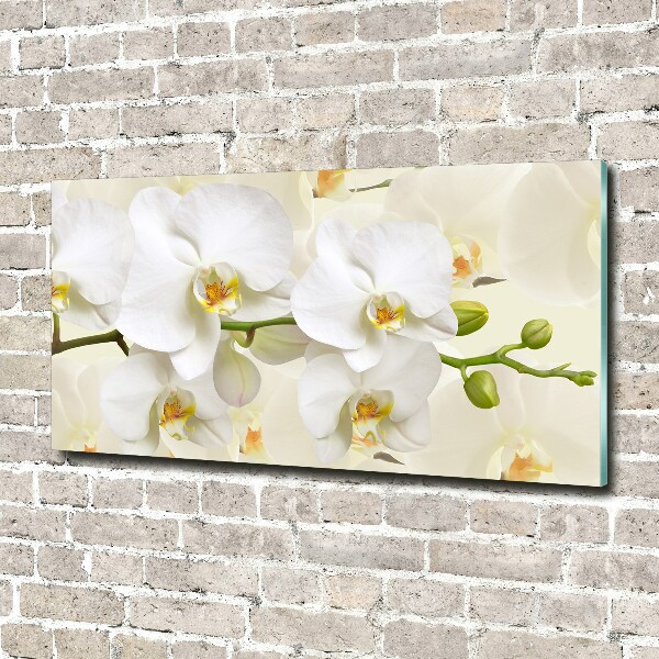 Wall art on glass Orchid