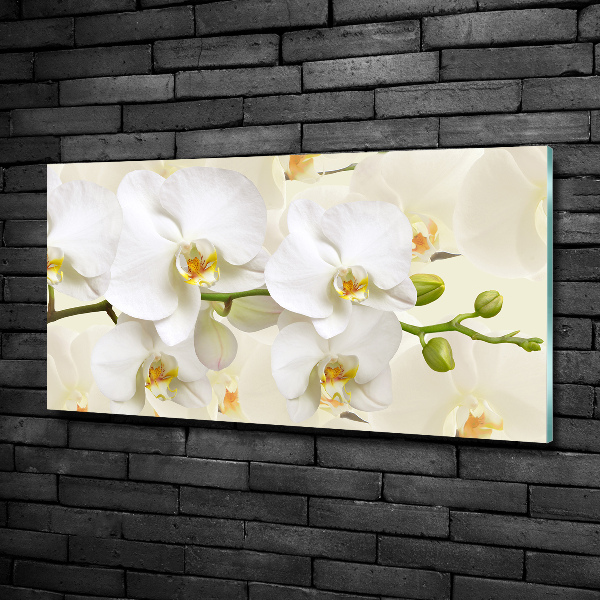 Wall art on glass Orchid